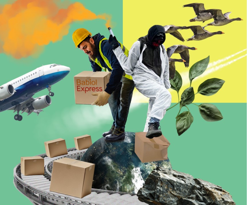 Capture dcran 2025 11 05 114652