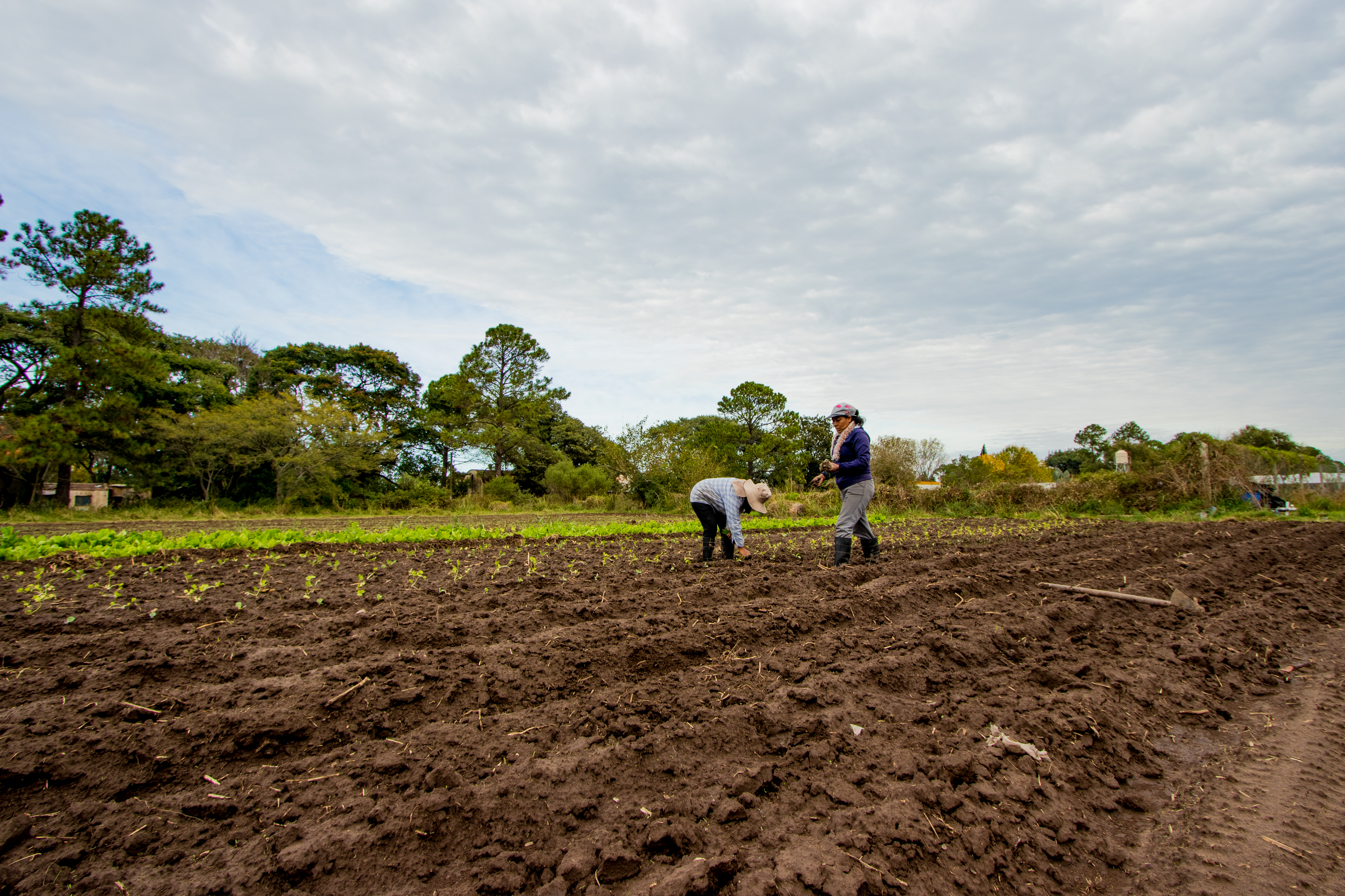 Mujeres trabajadoras de la tierra haciendo produccin agroecolgica Berna Gaitn Otarn 01